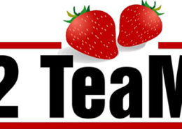 פרויקט חתימה אלקטרונית 2TEAM